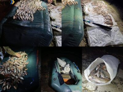 Незаконний улов