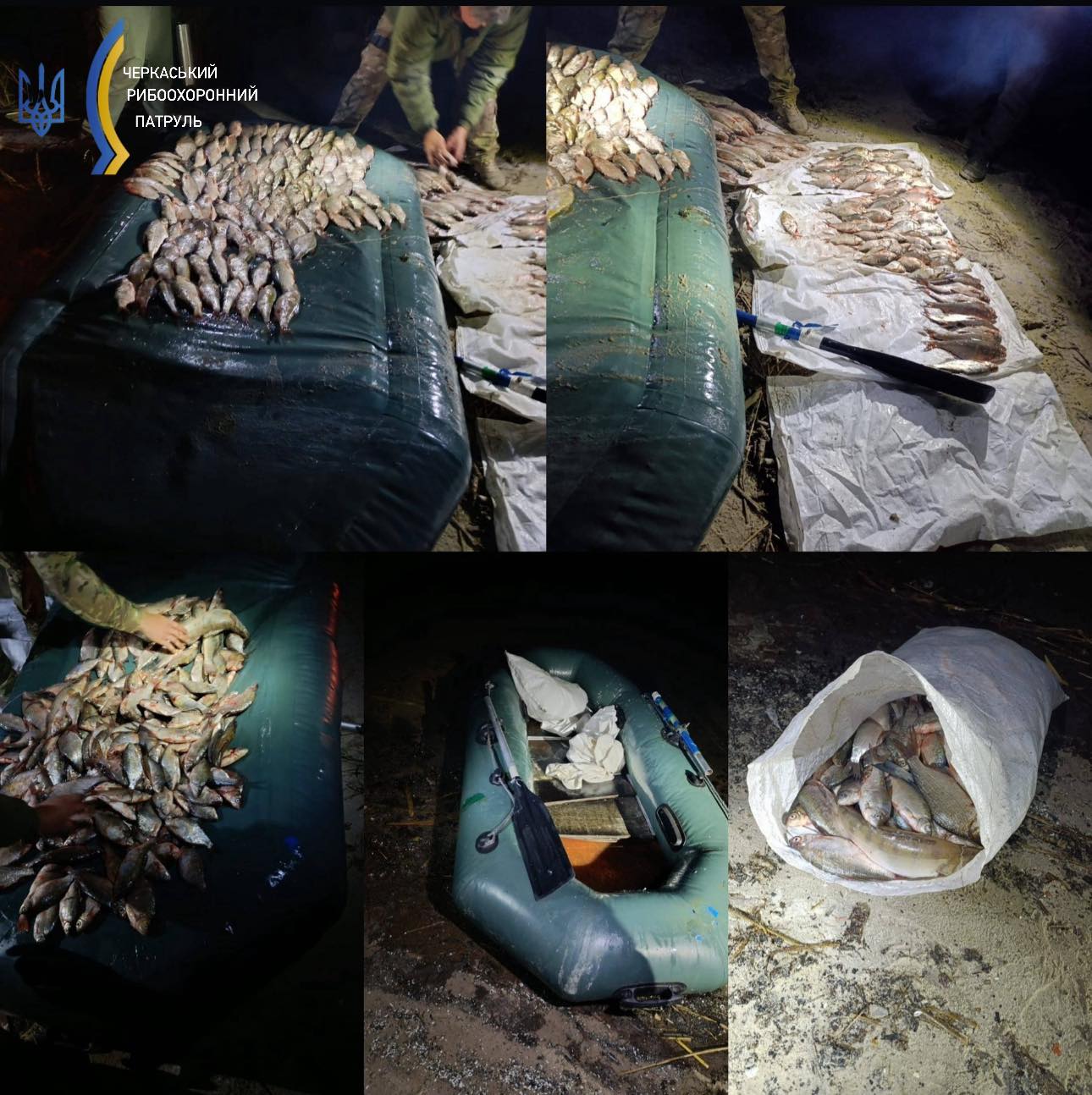 Незаконний улов