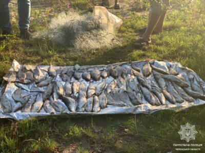 незаконно виловлена риба сітками