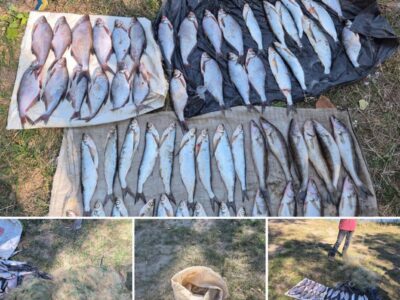 незаконний вилов риби