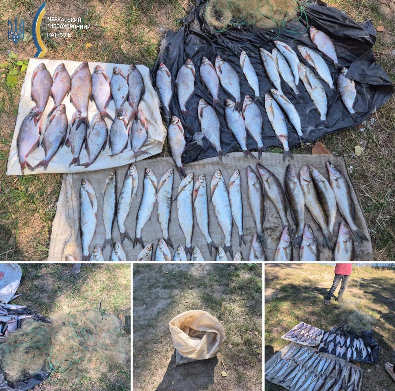 незаконний вилов риби