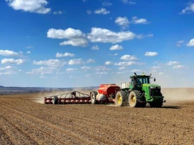 посівна озимого зерна