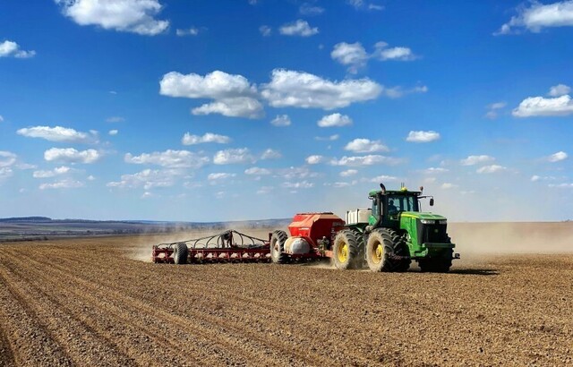 посівна озимого зерна