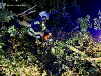 рятувальник розпилює повалене дерево