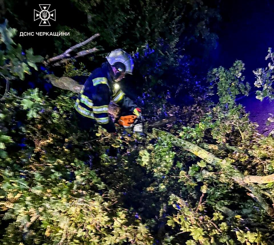рятувальник розпилює повалене дерево