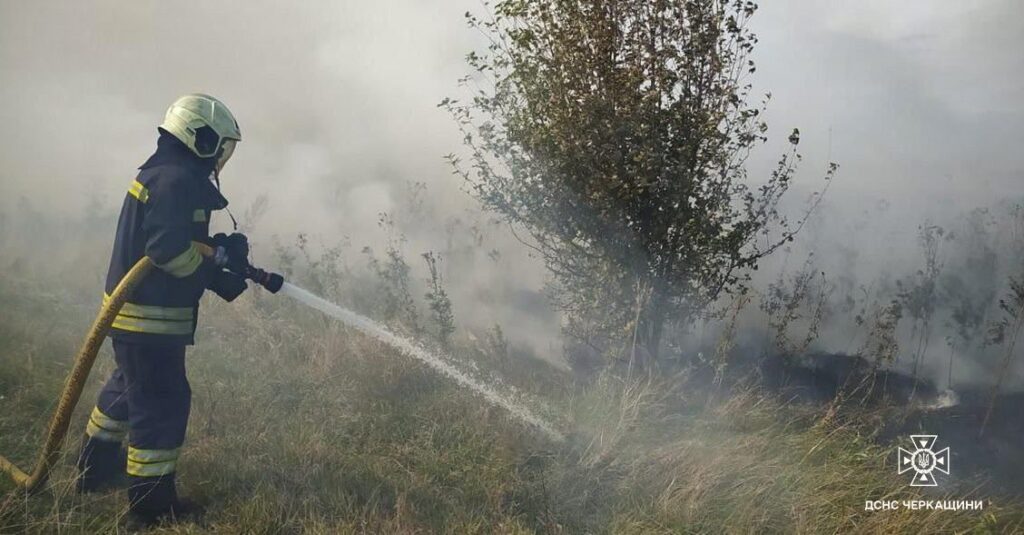 рятувальник тушить пожежу сухостою