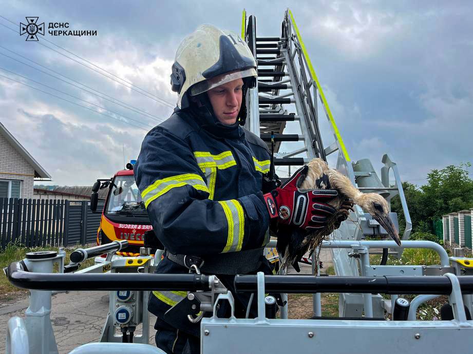 рятувальник Владислав Рура з Умані. Працівник ДСНС рятує лелеку