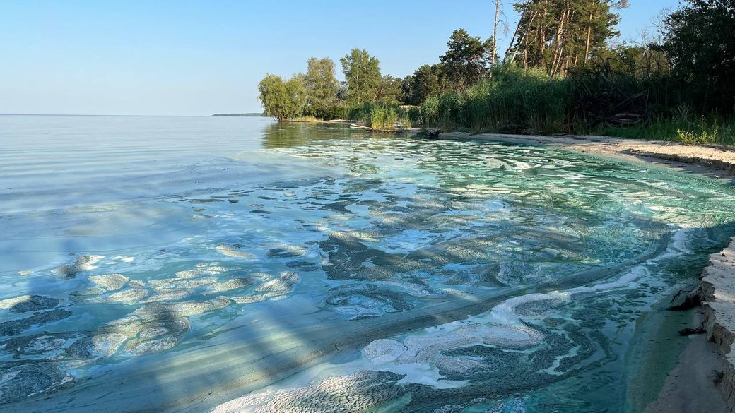 Зелене Дніпро