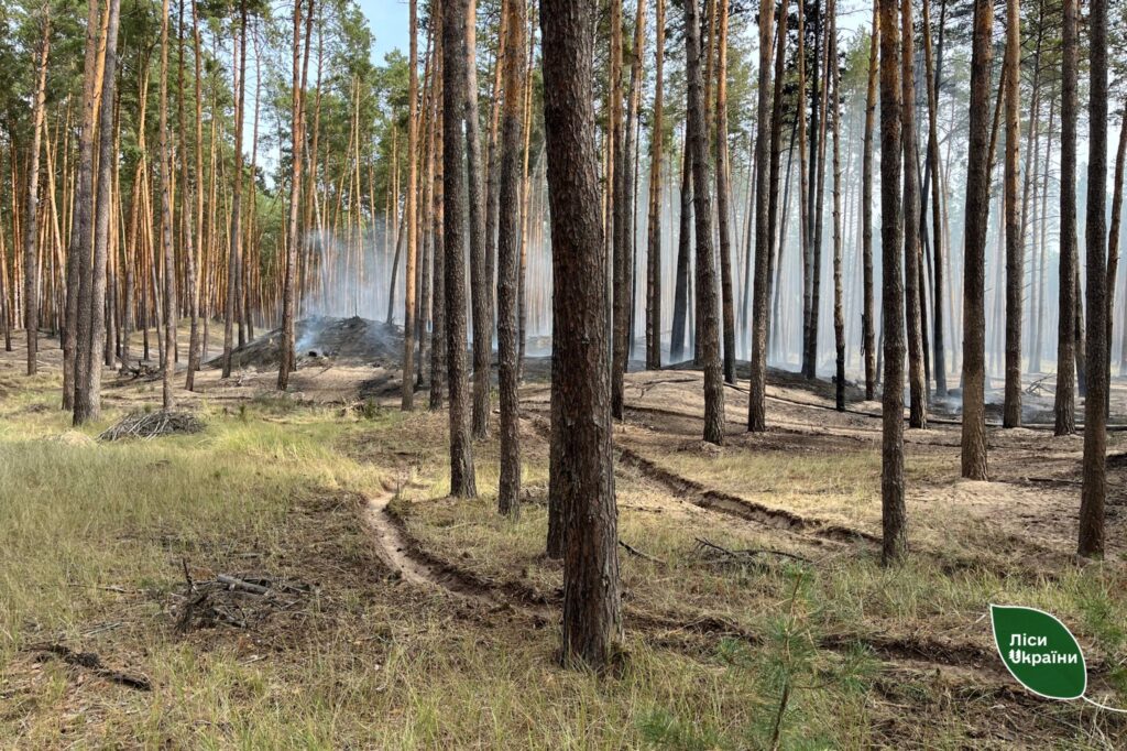 пошкоджені від вогню дерева