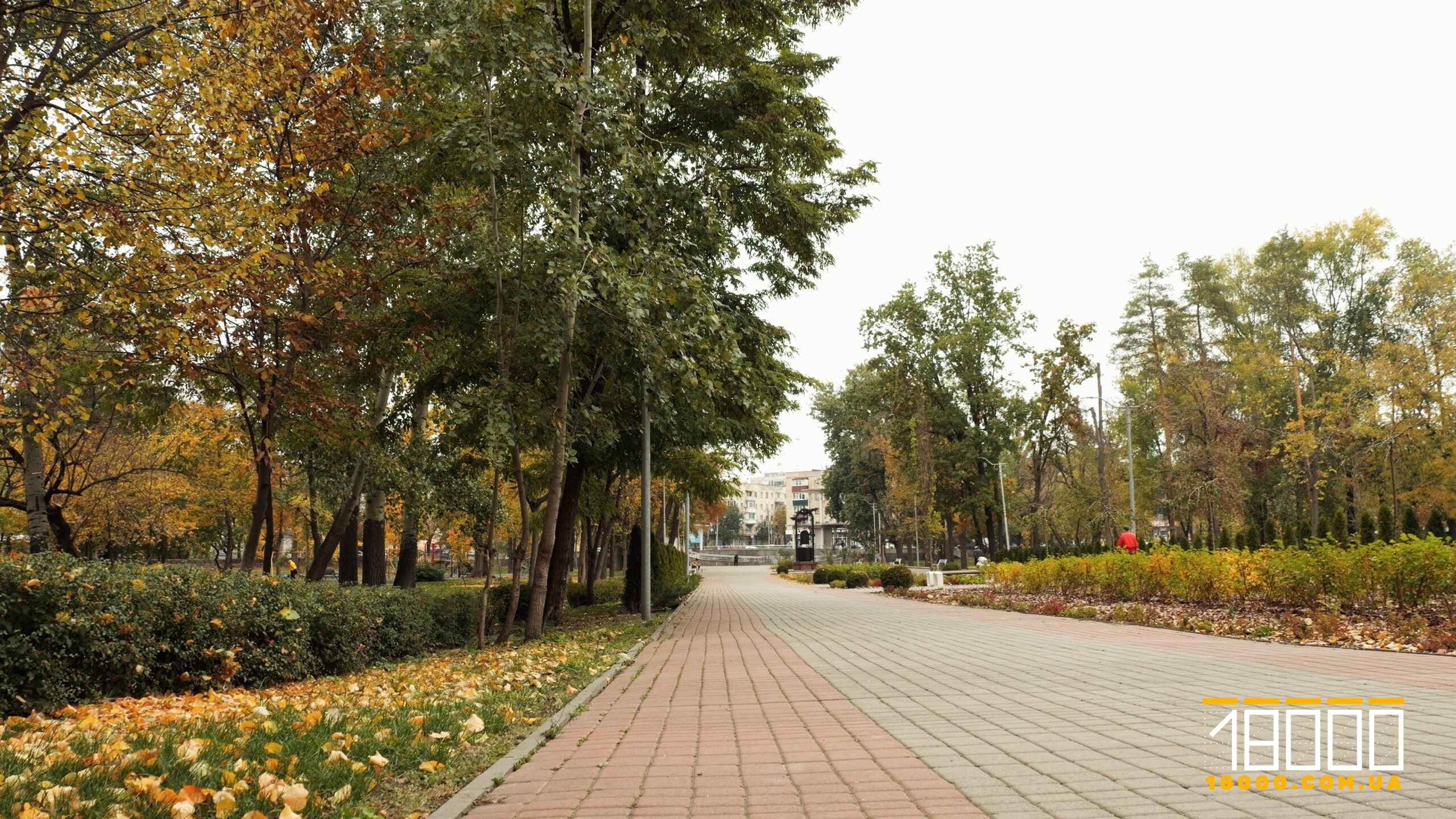 Алея в парку Соборний у Черкасах