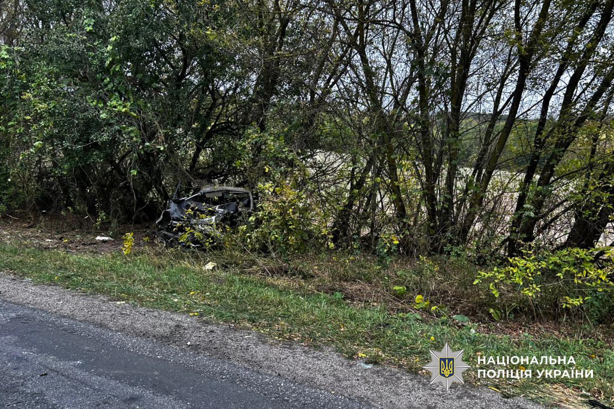 машина у кущах