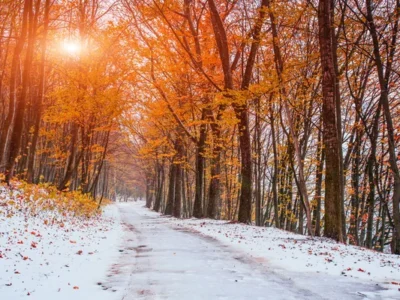 осінь, сніг, погода, природа