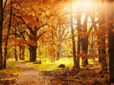 осінь, погода, природа