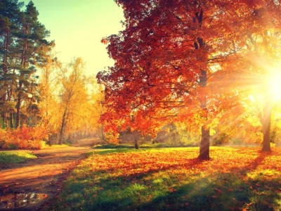 осінь, погода, природа