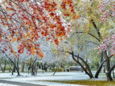 осінь, погода, сніг, негода, природа