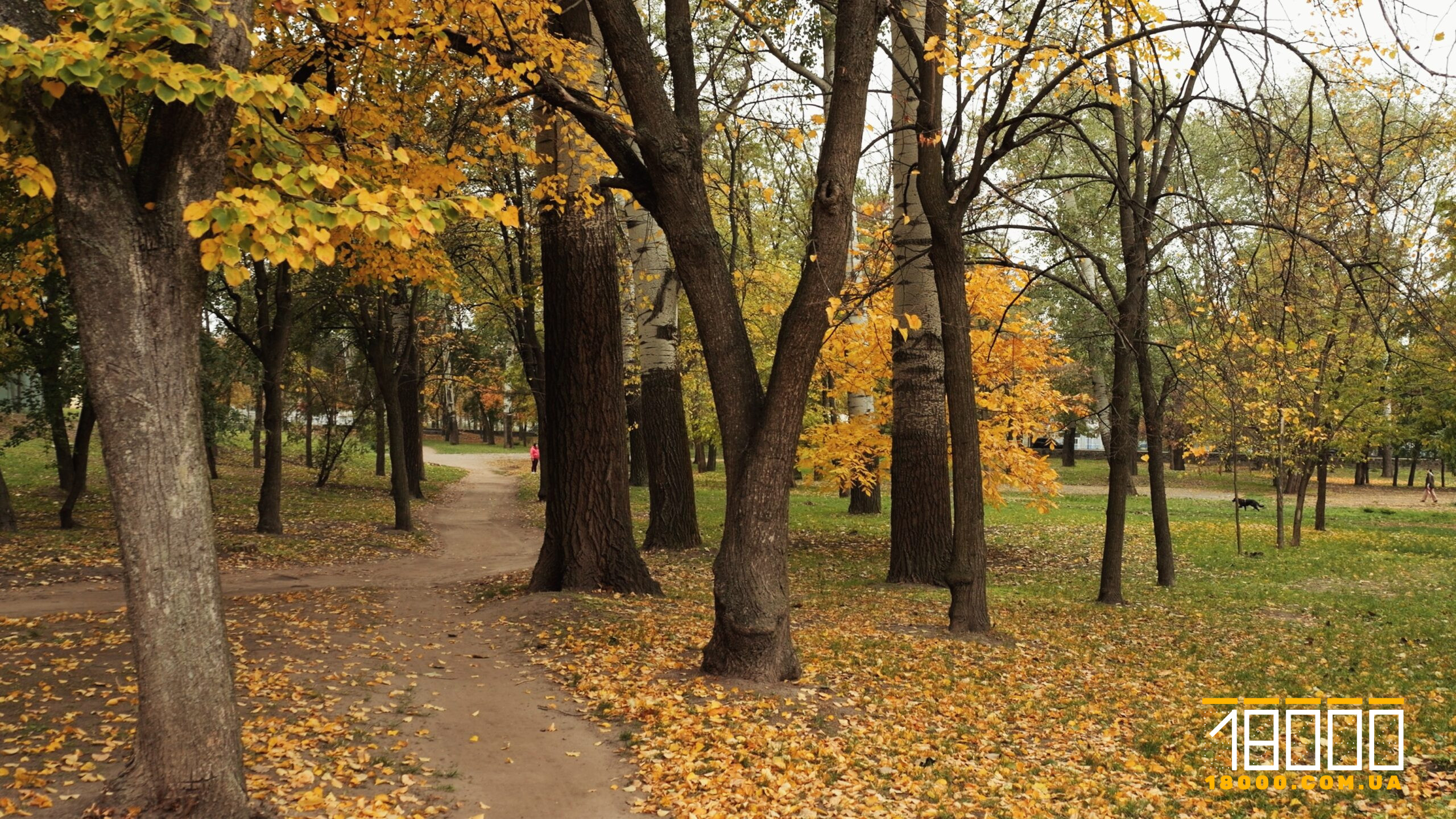 Парк на території Свято-Михайлівського собору 