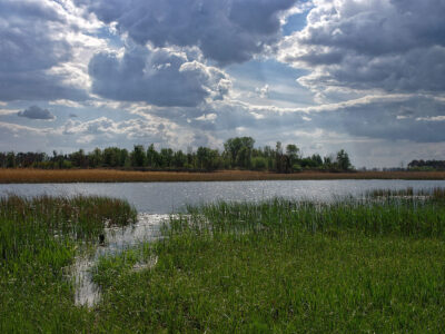 Пташині острови