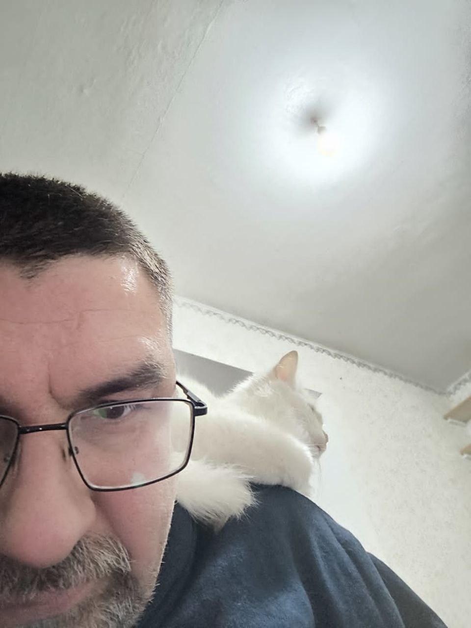 Військовий "Рупор" та кіт Фенікс