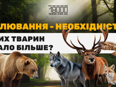 Сезон полювання 2025-2026 в Черкаській області
