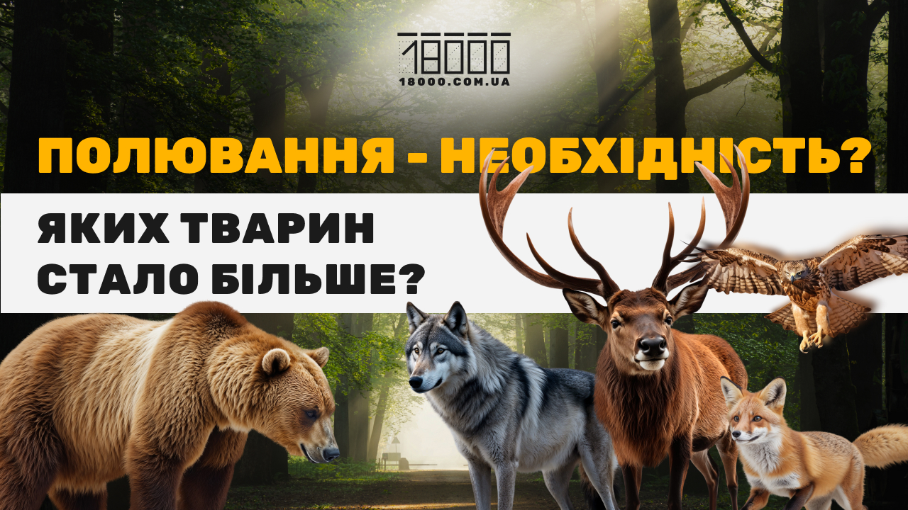 Сезон полювання 2025-2026 в Черкаській області