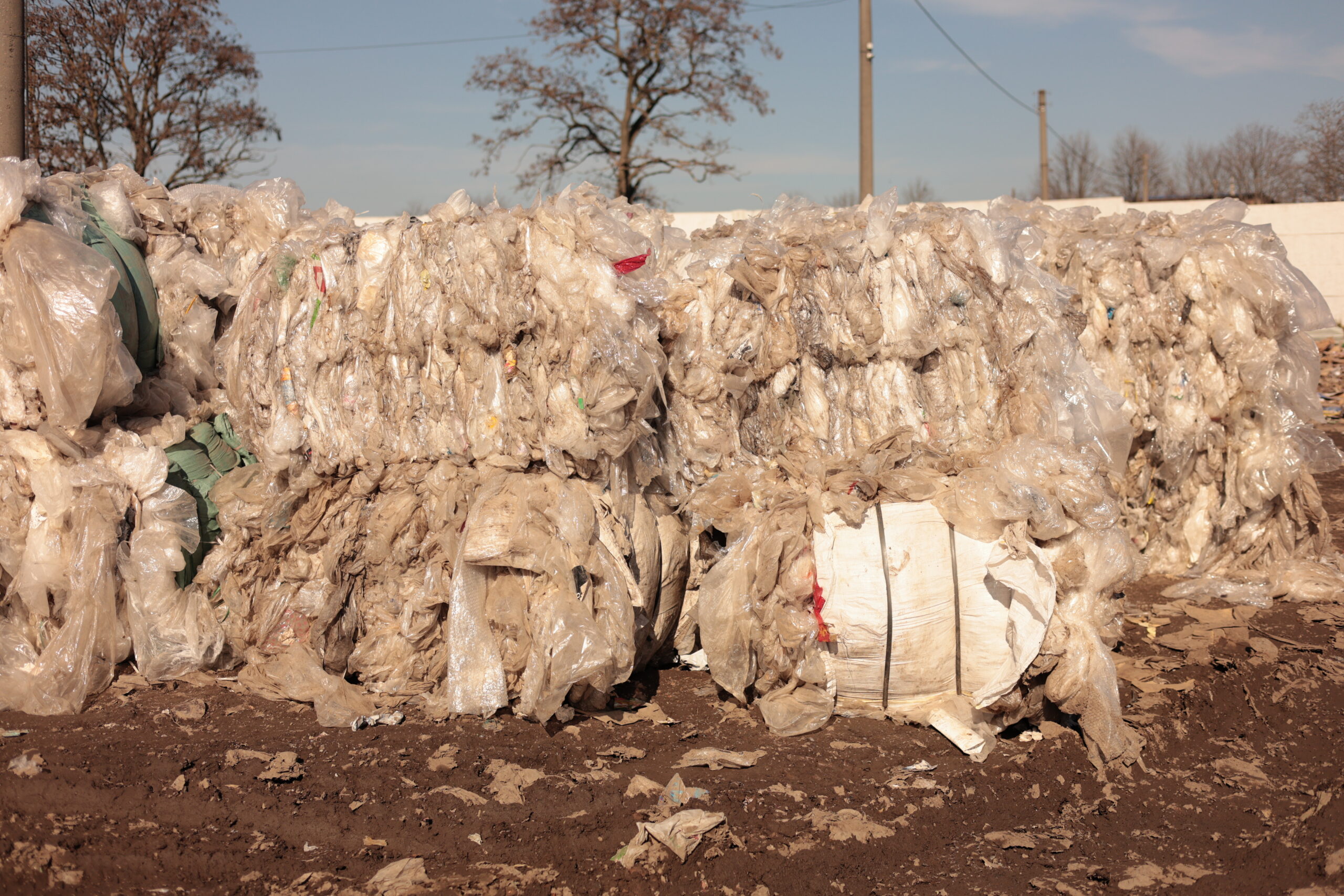 Сортування сміття в Кропивницькому