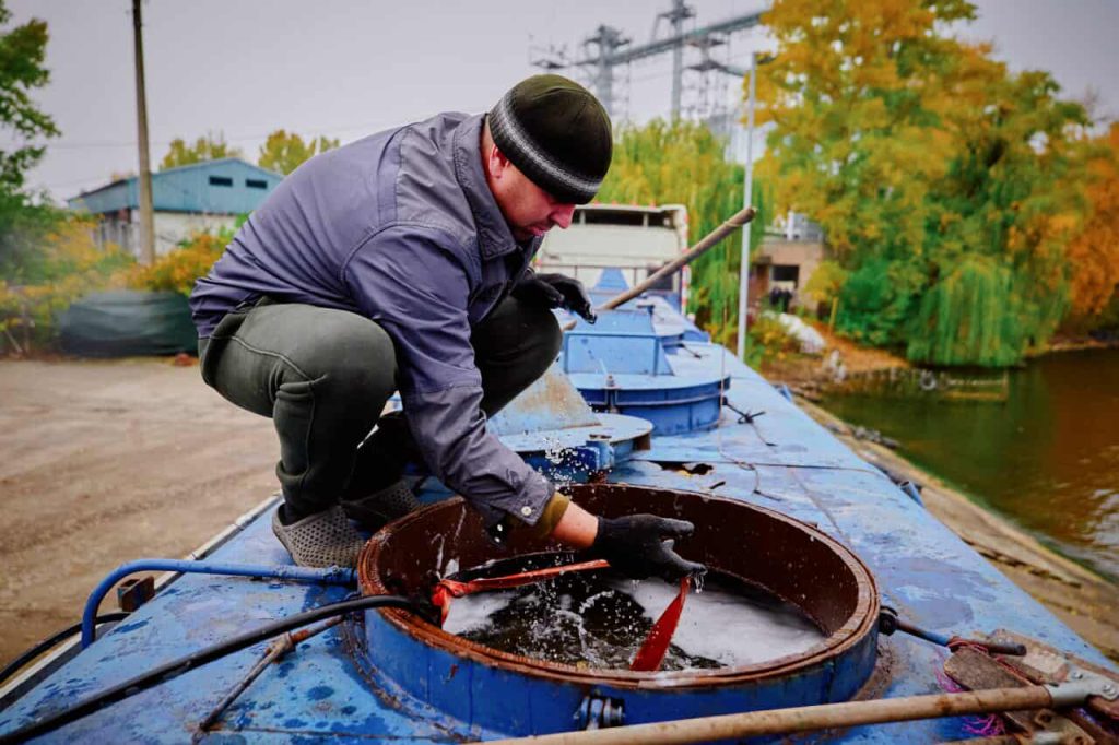 Зариблення мальком
