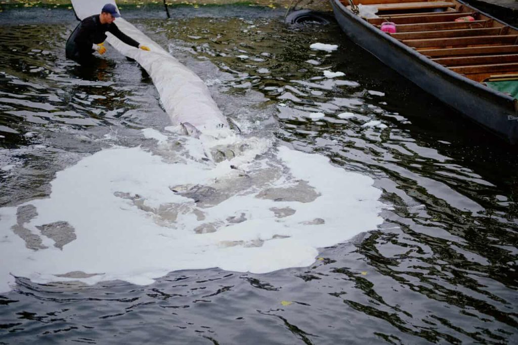 Зариблення на Черкащині