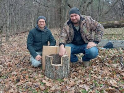 дуплянки для птахів