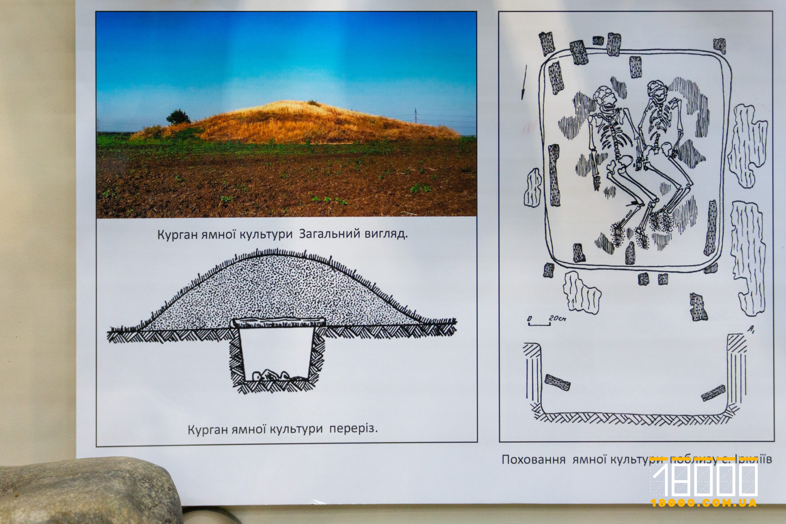 Курган ямної культури