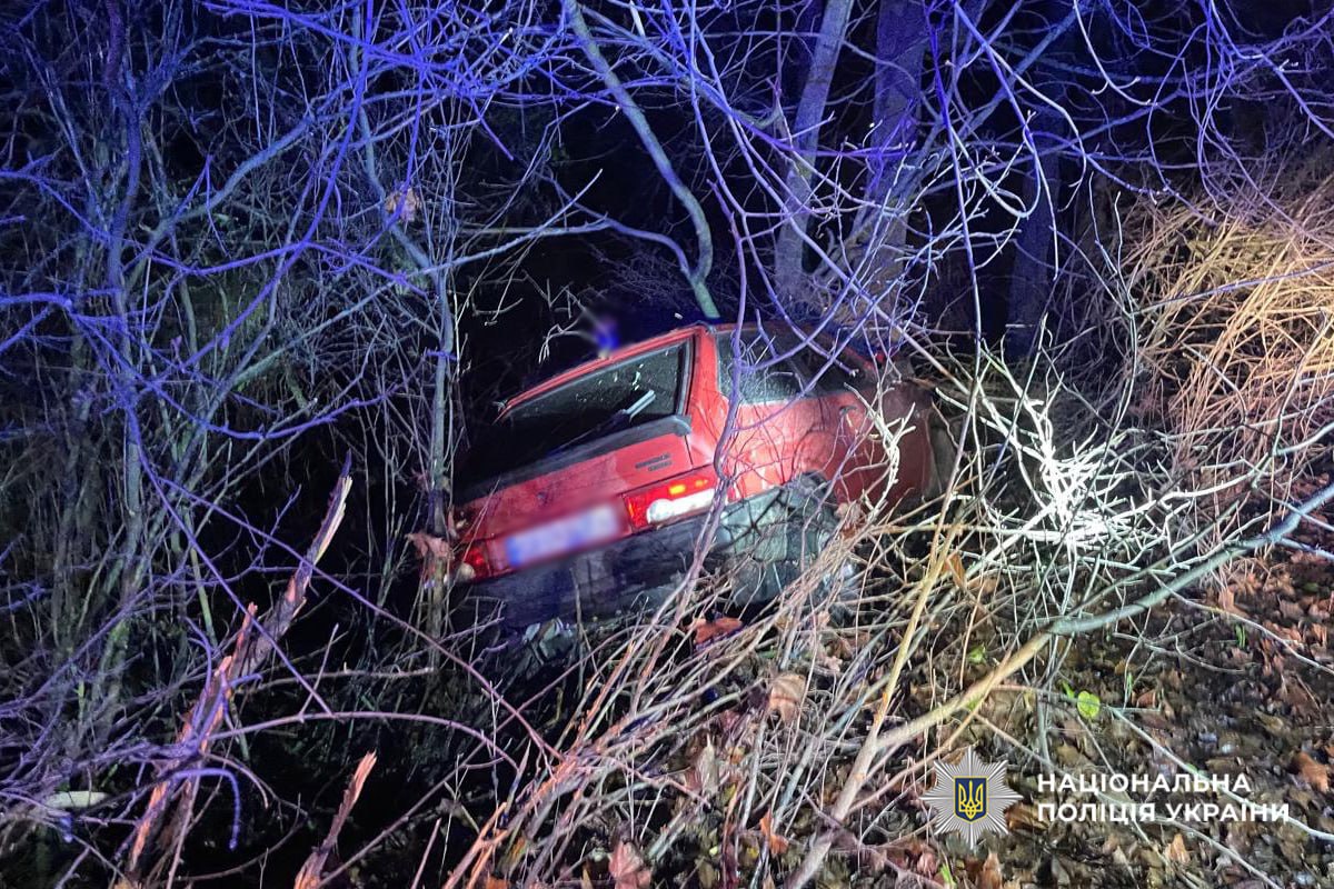 авто у кущах