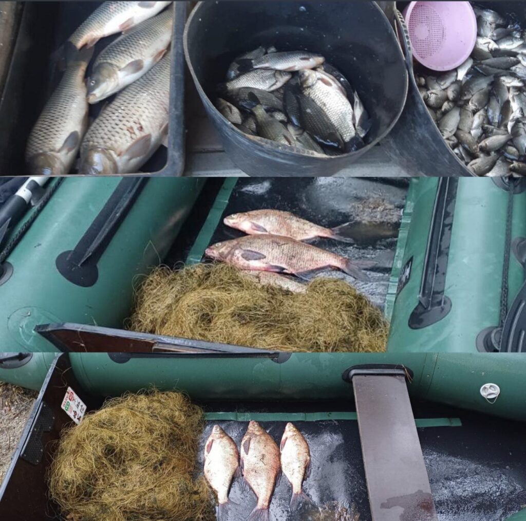 Виловлена риба