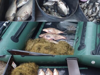 Виловлена риба