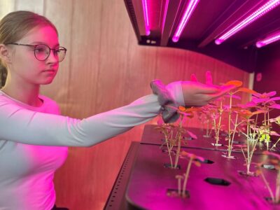 дівчина біля зелені