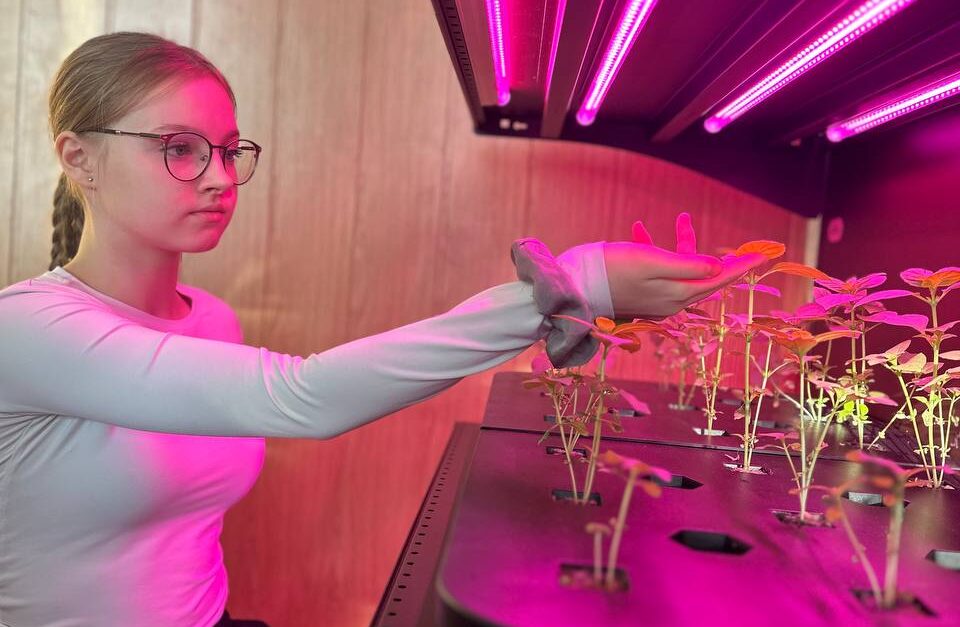 дівчина біля зелені