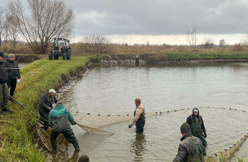 зариблення