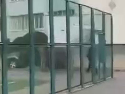 Затримали чоловіка скрін відео