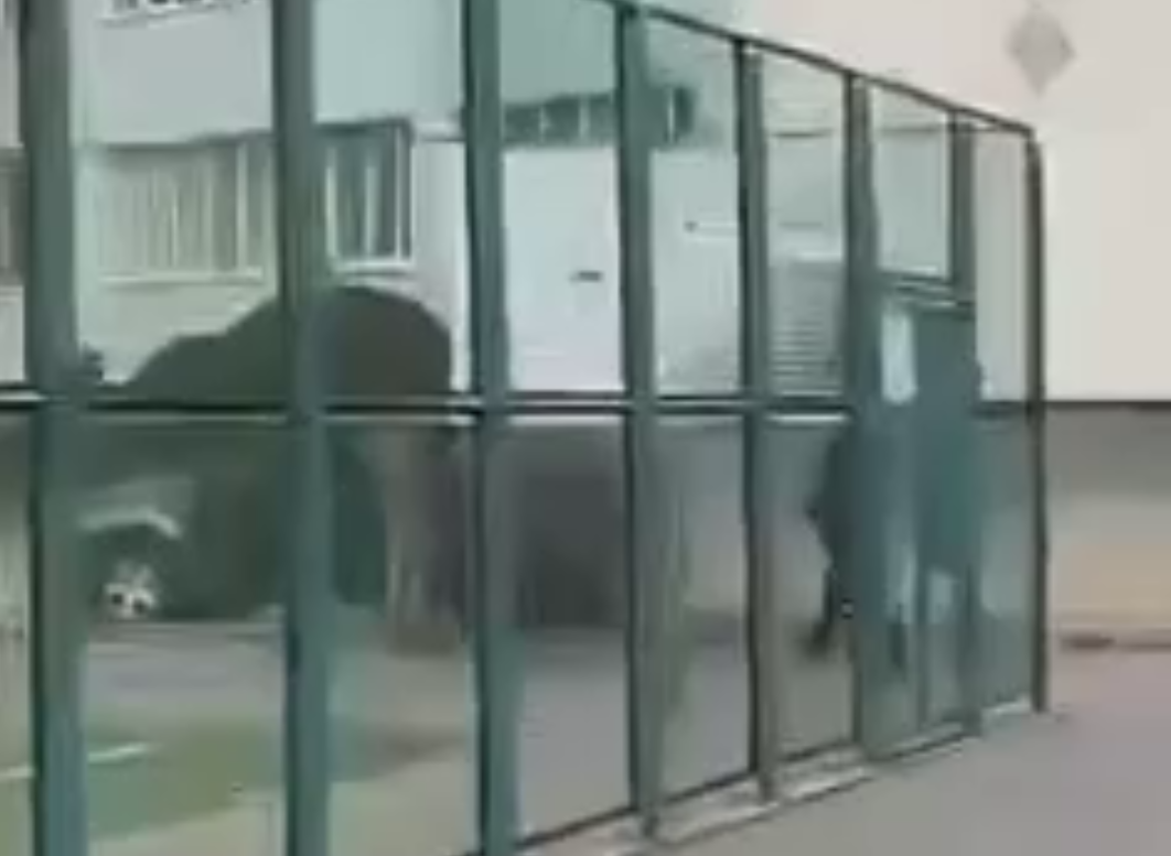 Затримали чоловіка скрін відео