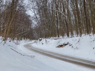 "Холодний Яр"