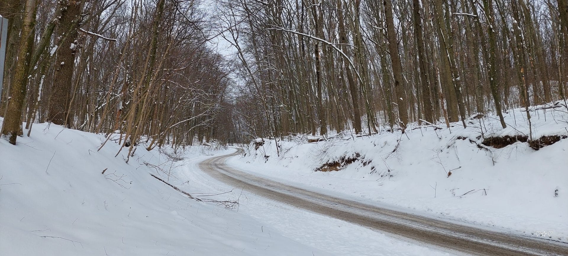 "Холодний Яр"