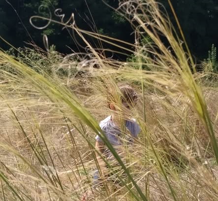 Пам’ятка «Ярок з ковилою» з’явилася на Золотоніщині