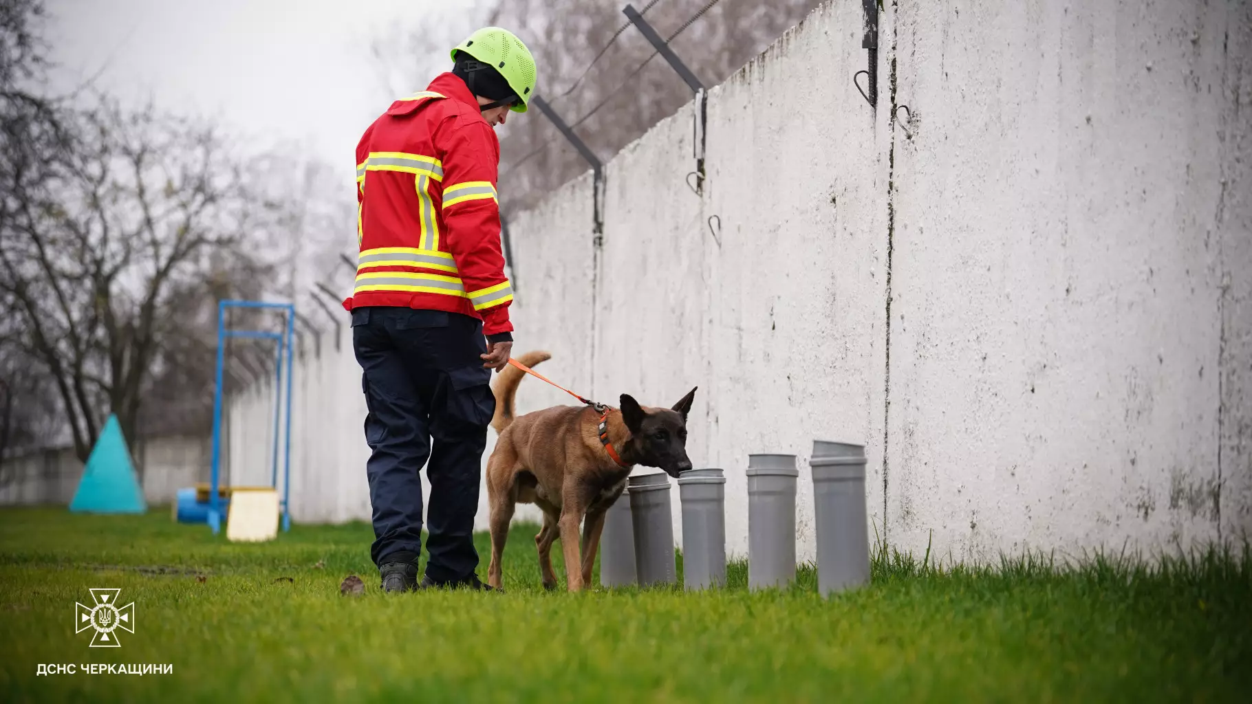 Пес із кінологом під час навчання