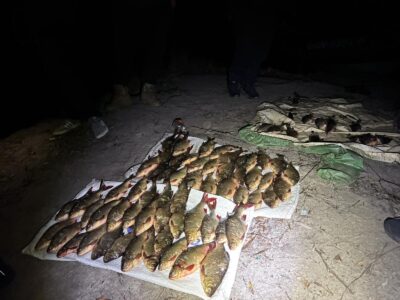 незаконний вилов