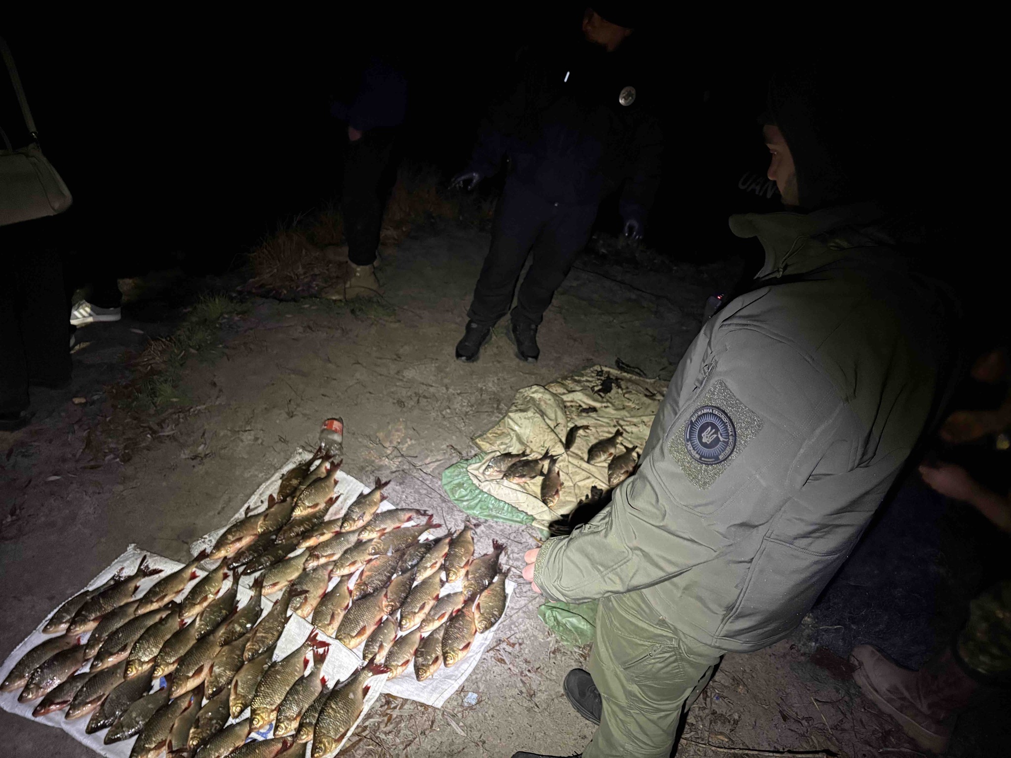 незаконний вилов риби