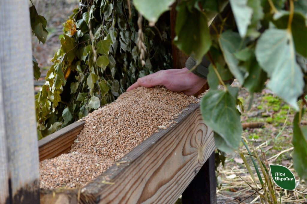 заготовлено