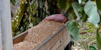 заготовлено