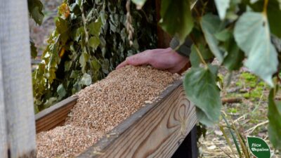 заготовлено