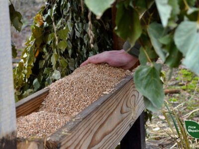 заготовлено