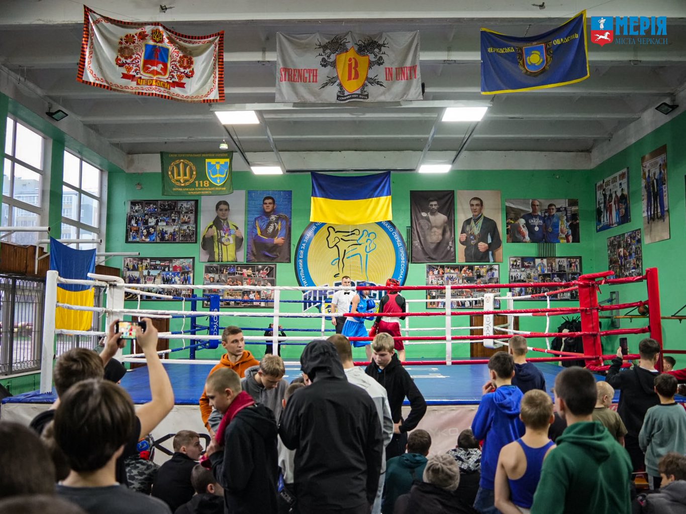 Участь беруть майже 200 спортсменів: у Черкасах стартував чемпіонат з боксу