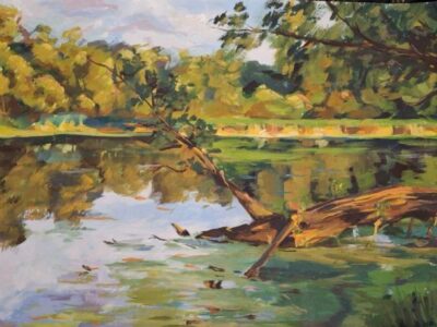 робота черкаської школярки