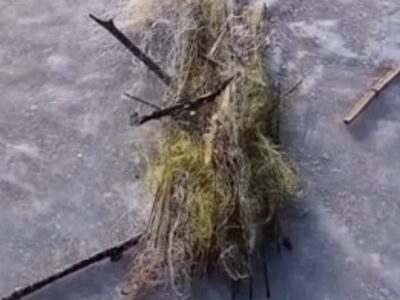 Знаряддя для вилову риби